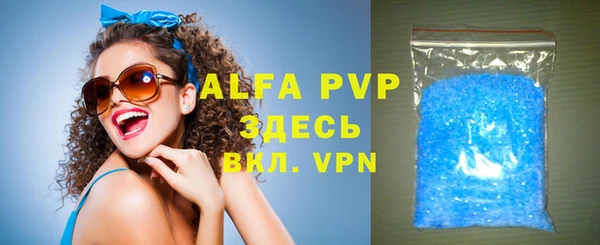 индика Мегион
