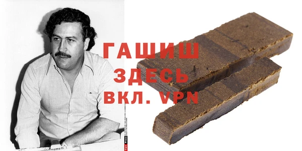 индика Мегион
