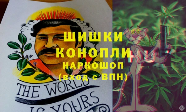 индика Мегион