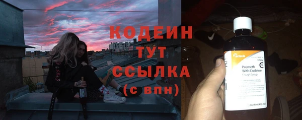 индика Мегион