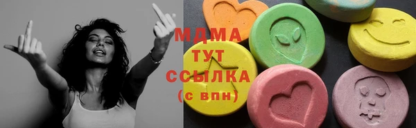 индика Мегион