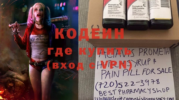 индика Мегион
