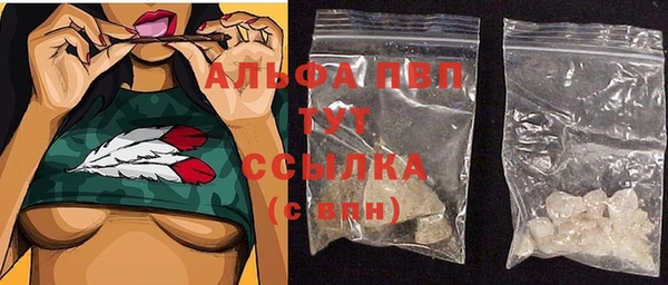 индика Мегион