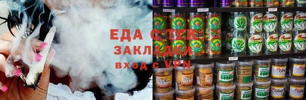 индика Мегион