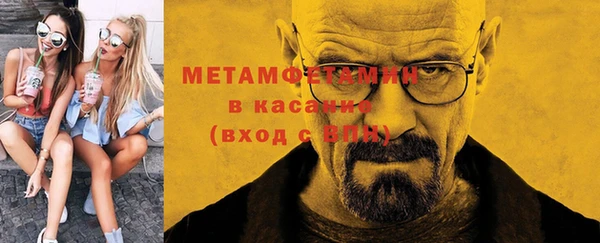 индика Мегион