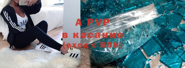 индика Мегион