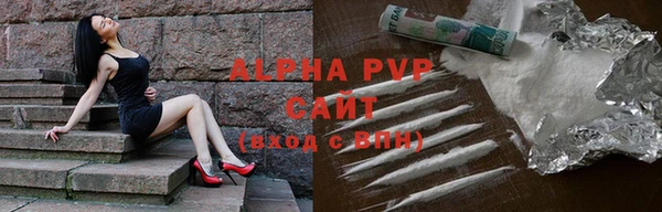 индика Мегион