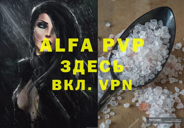 индика Мегион