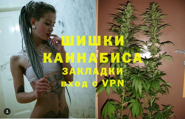 индика Мегион