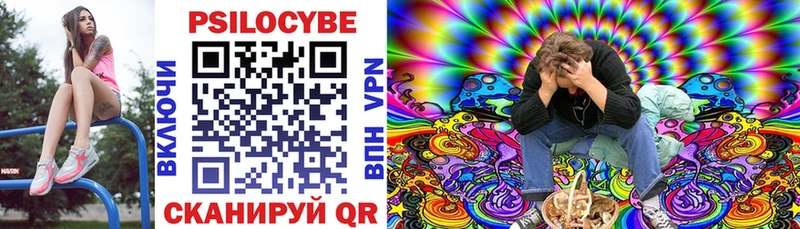 Галлюциногенные грибы Psilocybine cubensis дарк нет клад Чапаевск наркотики