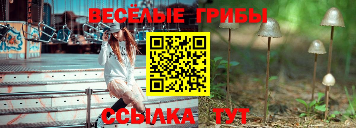Чапаевск  Галлюциногенные грибы Magic Shrooms  Вход с VPN 