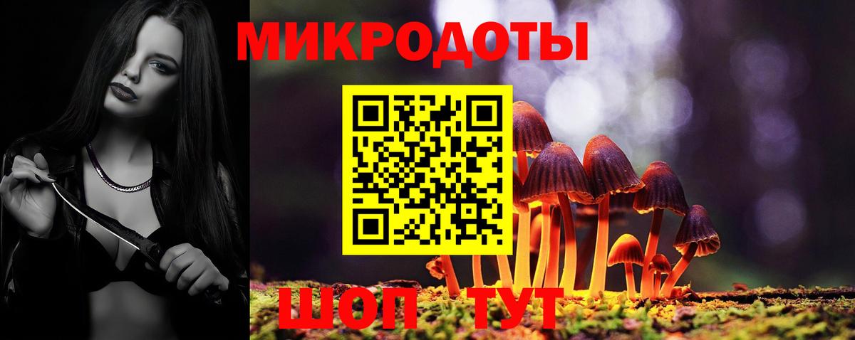 Псилоцибиновые грибы мицелий Чапаевск